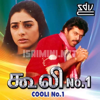 Cooli No.1 Poster