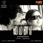 Mynaa Mynaa Song Poster