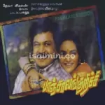 Chinna Chinna Panithuli Song Poster