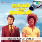 Lilly Malarukku Song Poster