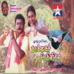 Nenavu Therinja Song Poster