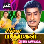 Manjal Vizhi Song Poster