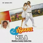 Naidu Hallu Song Poster